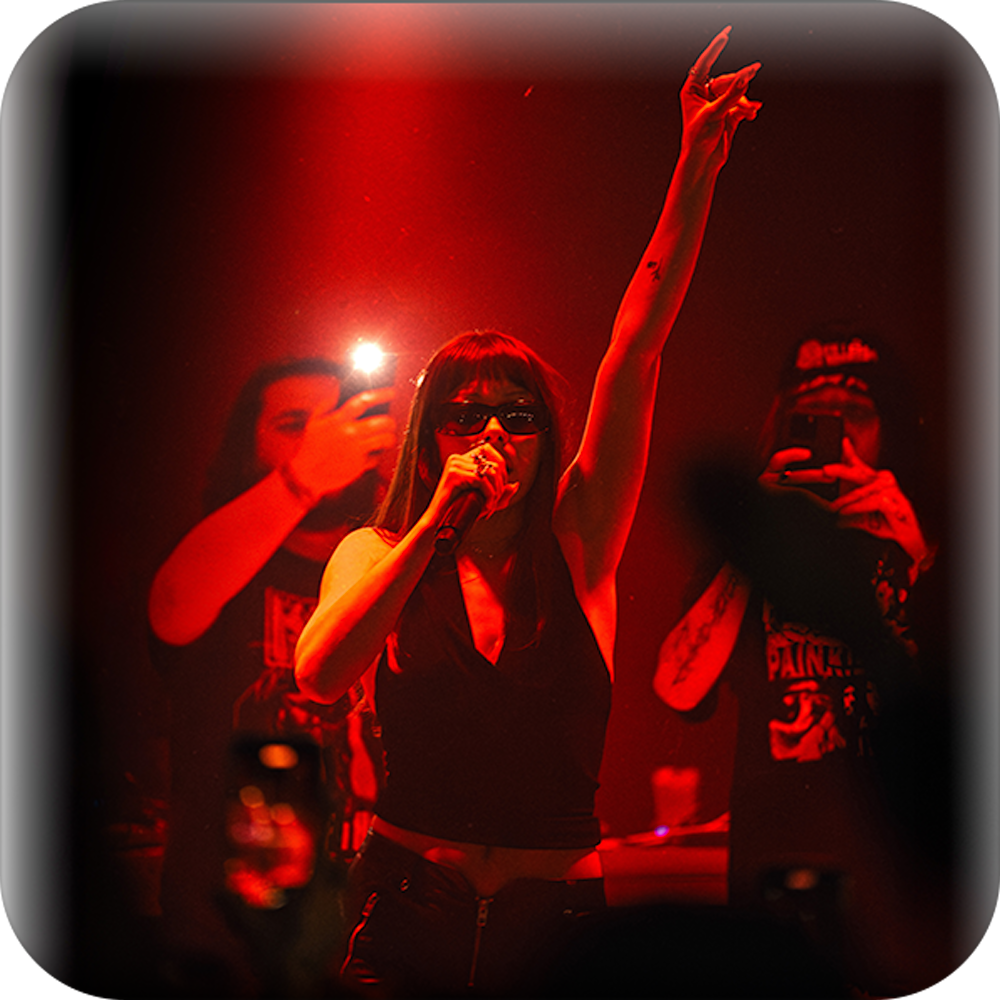 Festivaly a koncerty